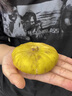 菓靈稥新疆無花果新鮮水果阿圖什樹上糖包子應(yīng)季孕婦健康果中秋節(jié)禮盒 精選10顆大果禮盒 產(chǎn)地直發(fā) 送禮佳品 曬單實拍圖