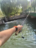 釣迷（fishingfans）瀾蘭溪馬口竿富士o環(huán)微物路亞竿ul快調實心稍碳素白條翹嘴桿套裝 1.53米直柄ul快調+微物紡車輪 曬單實拍圖