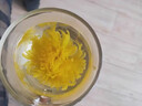 枸杞菊花茶金絲皇菊一朵一杯大朵黃菊花獨(dú)立包裝菊花草茶葉批發(fā)金絲菊 特級大朵100包（獨(dú)立包裝） 曬單實(shí)拍圖