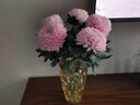 京東鮮花 法式陶瓷花瓶小高級感插花復(fù)古美式玫瑰客廳輕奢擺件白色奶油風(fēng) 曬單實(shí)拍圖