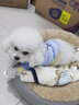 嬉皮狗（hipidog） 狗狗衣服秋冬季泰迪衣服小型犬保暖打底衫防掉毛比熊幼犬衣服 卡其色呆呆狗 S (建議體重4-6斤) 曬單實(shí)拍圖