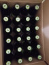 白熊（VEDETT） 接骨木花 精酿啤酒 330ml*24瓶 整箱装 比利时原瓶进口 实拍图