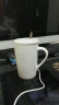 瓷魂 陶瓷带盖马克杯咖啡杯办公室喝水杯带勺子大容量牛奶杯 绿色 实拍图