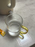 威爾斯伯格高硼硅玻璃杯帶把耐高溫待客泡茶杯子家庭喝水杯具家用水壺套裝 經(jīng)典300ML【6色】+木杯架+瀝水盤 曬單實拍圖