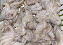 果匯堂八爪魚(yú)海鮮鮮活水產(chǎn)冷凍小章魚(yú)迷你八抓魚(yú)章魚(yú)足長(cháng)腿大爆頭 一斤裝 曬單實(shí)拍圖