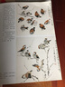 寫意花鳥畫技法·老年國(guó)畫大學(xué)堂：麻雀 燕子 曬單實(shí)拍圖