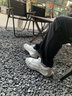 LOUISPRO男士休閑鞋潮流鞋子男鞋2025新款科技紐扣透氣老爹鞋運動(dòng)鞋男 白灰色 39 【標準運動(dòng)鞋碼】 曬單實(shí)拍圖