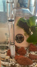 森悠（SARYOR）魚缸懶人沉木水榕造景裝飾活體植物水族箱真水草套餐淡水增氧水草 三頭黃金榕沉木 曬單實拍圖