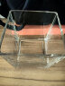 共度（Gong Du）玻璃方形金鱼缸办公桌绿萝水培家用创意小鱼缸小型迷你桌面乌龟缸 大号方形裸缸 15*15CM 实拍图