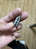 世達（SATA）五金工具6.3MM系列小飛花形旋具套筒批頭螺絲刀21101-21107 21101/花形T-8 曬單實拍圖