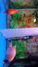 佳寶JEBO 魚(yú)缸加熱棒自動(dòng)恒溫水族箱加溫棒小型不銹鋼防爆加熱器 200W 曬單實(shí)拍圖