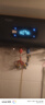愛妻（AICHEN）【免費上門安裝】熱水器電熱水器儲水式家用洗澡速熱一級能效智能超薄出水斷扁桶電熱水器出租房 50L 2200W 【智能款】預(yù)約定時 出水斷電 曬單實拍圖