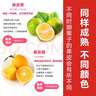 諸氏橙品【順豐】尋烏蜜桔 贛南無(wú)籽蜜橘子橙生鮮 當(dāng)季孕婦水果禮盒中秋節(jié) 4-4.5斤珍品果禮盒裝【16-20枚】 褚系嚴(yán)選*柑橘橙柚類*源頭直發(fā) 曬單實(shí)拍圖