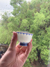 逸沁堂景德鎮青花手繪雨滴荷花陶瓷建盞茶杯主人杯個(gè)人專(zhuān)用高檔精致 青花雨滴荷花單杯 40ml 1只 曬單實(shí)拍圖