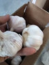 十里饞河南開封干大蒜新鮮紫皮蒜干農(nóng)戶自種曬干籽多瓣獨頭蒜頭 3斤 曬單實拍圖