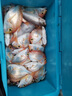 Daijia綁好線的魚鉤海釣船釣天平串鉤丸世桶裝鉤盒裝子線鉤有倒刺帶線鉤 18號 丸世 曬單實(shí)拍圖