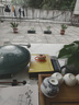 傾顏羅漢松樹(shù)苗小葉雀舌室內(nèi)庭院別墅老樁盆栽地栽四季常青造型樹(shù)盆景 S彎1-1.5公分40厘米高左右不含盆 曬單實(shí)拍圖