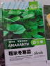 壽禾 冬寒菜種子冬莧菜馬蹄菜冬葵滑菜四季秋冬季蔬菜盆栽籽種菜籽 壽禾糯米冬寒菜種子10g+200g肥 曬單實(shí)拍圖
