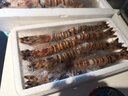 海鮮頌 冷凍大斑節蝦 竹節蝦九節蝦 明蝦基圍蝦 新鮮大蝦 海鮮水產(chǎn)蝦類(lèi) 斑節蝦2條/ 400g(凈重)  1盒 曬單實(shí)拍圖