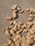 采緹（CAITI）采緹（CAITI）云南小黃姜文山黃姜食用小黃姜月子姜 5斤【小黃姜】 精選小黃姜（高原種植） 曬單實(shí)拍圖
