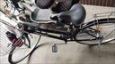 飛鴿 FG FLYING PIGEON全軸承城市自行車男女成人通勤車代步車復(fù)古老式單車實(shí)心胎免充氣 橘粉色/帶靠背坐墊/充氣輪胎 26英寸（身高160-185左右） 曬單實(shí)拍圖