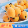 綠養(yǎng)道【順豐快遞】云南蒙自新鮮枇杷 新鮮水果 2斤 曬單實(shí)拍圖