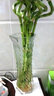益馨榮  益馨榮 簡(jiǎn)約花瓶玻璃透明擺件家居家用客廳插花花器家用水培富 六角斜紋款-高30CM 曬單實(shí)拍圖