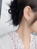 COISEE.YL耳釘純銀女流蘇耳環(huán)女耳飾女高級(jí)感2024新款生日禮物送女友 花跡流蘇耳釘 曬單實(shí)拍圖