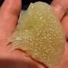 顏曼箐正宗文旦柚子玉環(huán)當季新鮮水果孕婦浙江臺州特產(chǎn)現(xiàn)摘禮盒順豐 老樹甄選 禮盒裝順豐 6斤 2個 曬單實拍圖