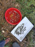 正宗青魚魚苗淡水養(yǎng)殖食用黑鯇魚灰烏青活物特大螺螄青魚苗半斤重 100條5-7厘米青魚苗贈送10% 送防 曬單實拍圖