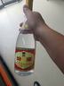 杏花村汾酒 清香型白酒 送禮自飲 53度 475mL 6瓶 黃蓋非原箱 曬單實(shí)拍圖