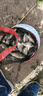博菲特日本長(cháng)竿超硬19調16米打窩竿釣魚(yú)竿逗釣巨物長(cháng)節超長(cháng)炮竿遠距離 新款二代（16米+前兩節+竿包） 曬單實(shí)拍圖