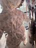 G.DUCKKIDS嬰兒羽絨服冬裝加厚白鴨絨新生兒外出服抱衣滿(mǎn)月女寶寶保暖連體衣 圖片色 羽絨服 90 (S) 9到16個(gè)月《8到12公斤》 曬單實(shí)拍圖