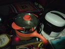 歐之寶車(chē)載電飯煲電炒鍋12V24V貨車(chē)小車(chē)220V車(chē)家兩用電飯鍋多功能飯鍋 24伏250瓦 曬單實(shí)拍圖