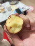 素味清歡東北特產(chǎn)龍豐果大秋果當(dāng)季現(xiàn)摘新鮮小蘋果酸甜孕婦稀有水果整箱 5斤精品裝【店主力薦】 曬單實(shí)拍圖