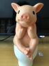 真自在可爱小猪摆件猪年七夕节生日礼物读书动物树脂装饰精致送男生女生创意摆件 大号马桶猪 实拍图