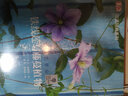 綠手指園藝叢書(shū)：鐵線(xiàn)蓮與藤蔓植物 曬單實(shí)拍圖