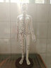 人體針灸穴位模型刻字穴位準確十二經(jīng)絡(luò )男女小人中醫教學(xué)銅人 白色男50cm(手臂可旋) 曬單實(shí)拍圖