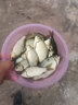 BKK魚鉤綁好子線雙鉤成品金袖鉤伊勢尼金海夕伊豆有無倒刺魚鉤 金海夕有刺 線號0.6#，鉤號3# 其他 曬單實拍圖