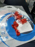 奧卡斯（AUCAS）網(wǎng)口鎖RJ45網(wǎng)口封堵器工業(yè)交換機(jī)工控機(jī)防塵塞防插拔可拆卸安全鎖網(wǎng)線端口通用堵頭防塵封口塞 紅色RJ45鎖10個+1把鑰匙 曬單實拍圖