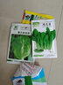 種菜記春季蔬菜種子大全快菜生菜雞毛菜種籽四季南方小青菜陽(yáng)臺蔬菜孑 青香光桿茼蒿種子10克 曬單實(shí)拍圖
