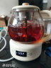 小熊（Bear）养生壶 1.2L大容量煮茶器煮茶壶 316L不锈钢喷淋蒸茶壶泡茶壶 煮茶烧水一体 ZCQ-D12Z5 实拍图