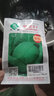壽禾 包菜綠甘藍(lán)種子包頭菜圓白菜秋冬季播種壽光大頭菜四季菜籽 [大田籽]中甘21甘藍(lán)種子 20g 曬單實(shí)拍圖