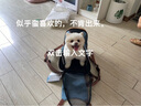依比呀呀（ibiyaya）臺灣寵物背包外出旅行貓咪狗包手提雙肩包兩用便攜包FC2131 牛仔藍 長20 寬23 高42 cm建議載重5KG 曬單實拍圖