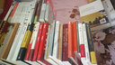 正版圖書  好望角叢書 無規(guī)則游戲:阿富汗屢被中斷的歷史 塔米姆.安薩利 了解阿富汗人不屈不撓民族精神和歷史文化 曬單實拍圖