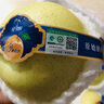 諸氏橙品【有機(jī)】秋月梨 現(xiàn)摘梨子 山東萊陽黃金香梨當(dāng)季水果整箱端中秋禮 【有機(jī)黃金梨6-9枚禮盒】3KG 曬單實(shí)拍圖