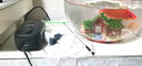 HIDOM希騰魚(yú)缸氧氣泵水族箱增氧泵 增氧機器 增氧棒 養魚(yú)氧氣泵 打氧機 2.3W單孔(適用40cm以?xún)若~(yú)缸) 曬單實(shí)拍圖