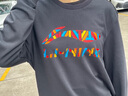 安踏衛(wèi)衣男秋季薄款純棉男士青少年長袖T恤圓領(lǐng)套頭運(yùn)動(dòng)上衣男女同款 基礎(chǔ)黑（常規(guī)款-刺繡標(biāo)） L /175(120-140斤） 曬單實(shí)拍圖