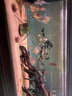 尼奧光尼奧神燈 尼奧雷龍燈魚缸燈日光燈增色增艷防水潛水燈 尼奧ST1720  1720cm【53w】發(fā)順豐 曬單實(shí)拍圖