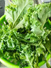 馬保果羽衣甘藍(lán)新鮮 嫩葉蔬菜甘蘭kale健身榨汁西餐食材蔬菜輕食沙拉 1斤精選裝 曬單實(shí)拍圖